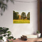 Manor House Ruins, Kidlington, Fine Art Poster - Matthew Webb Photography