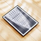 Black and White Geometric Architecture Print - Skylight - Vienna Central Station, Wall Art Gift - Matthew Webb Photography