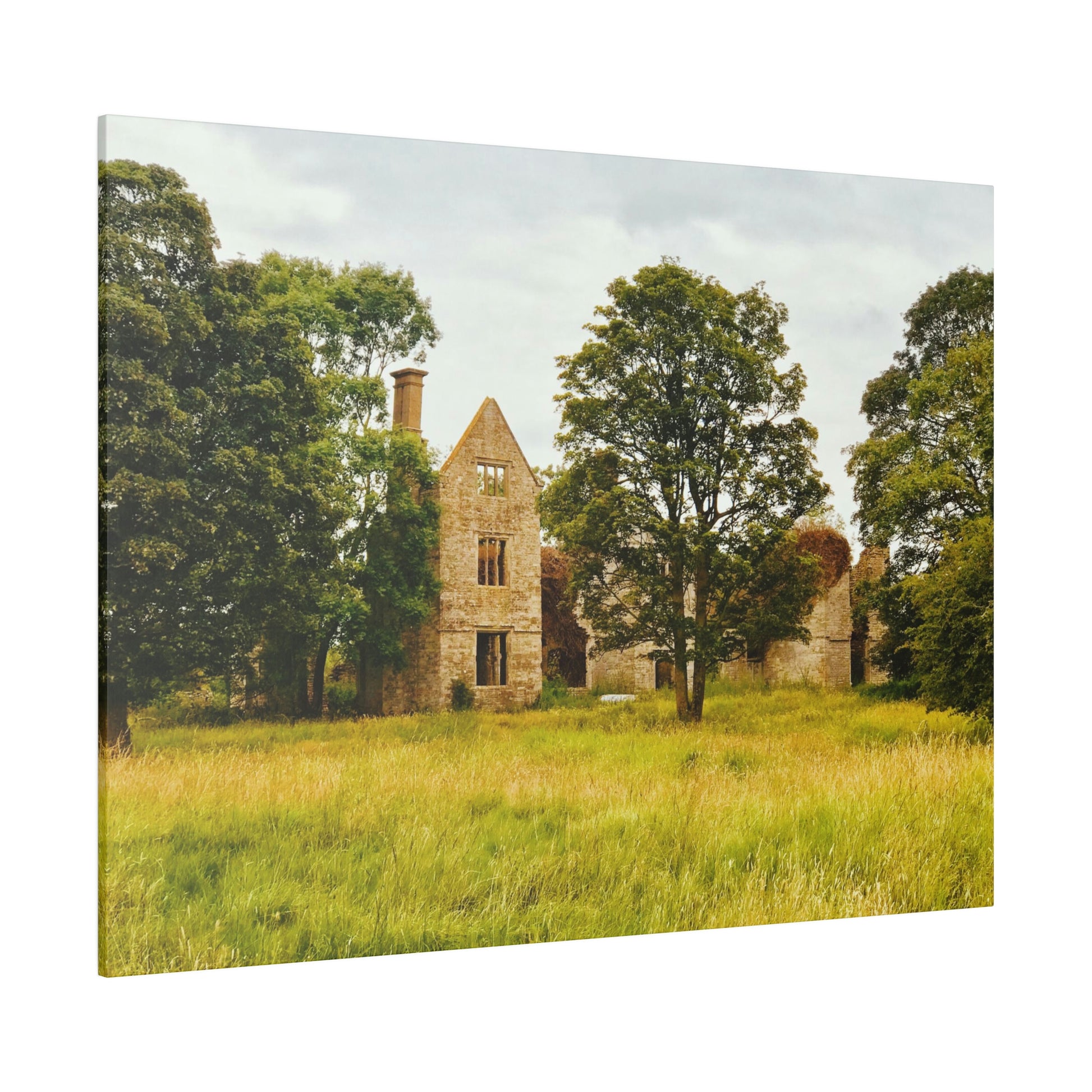 Manor House Ruins, Kidlington - Matthew Webb Photography