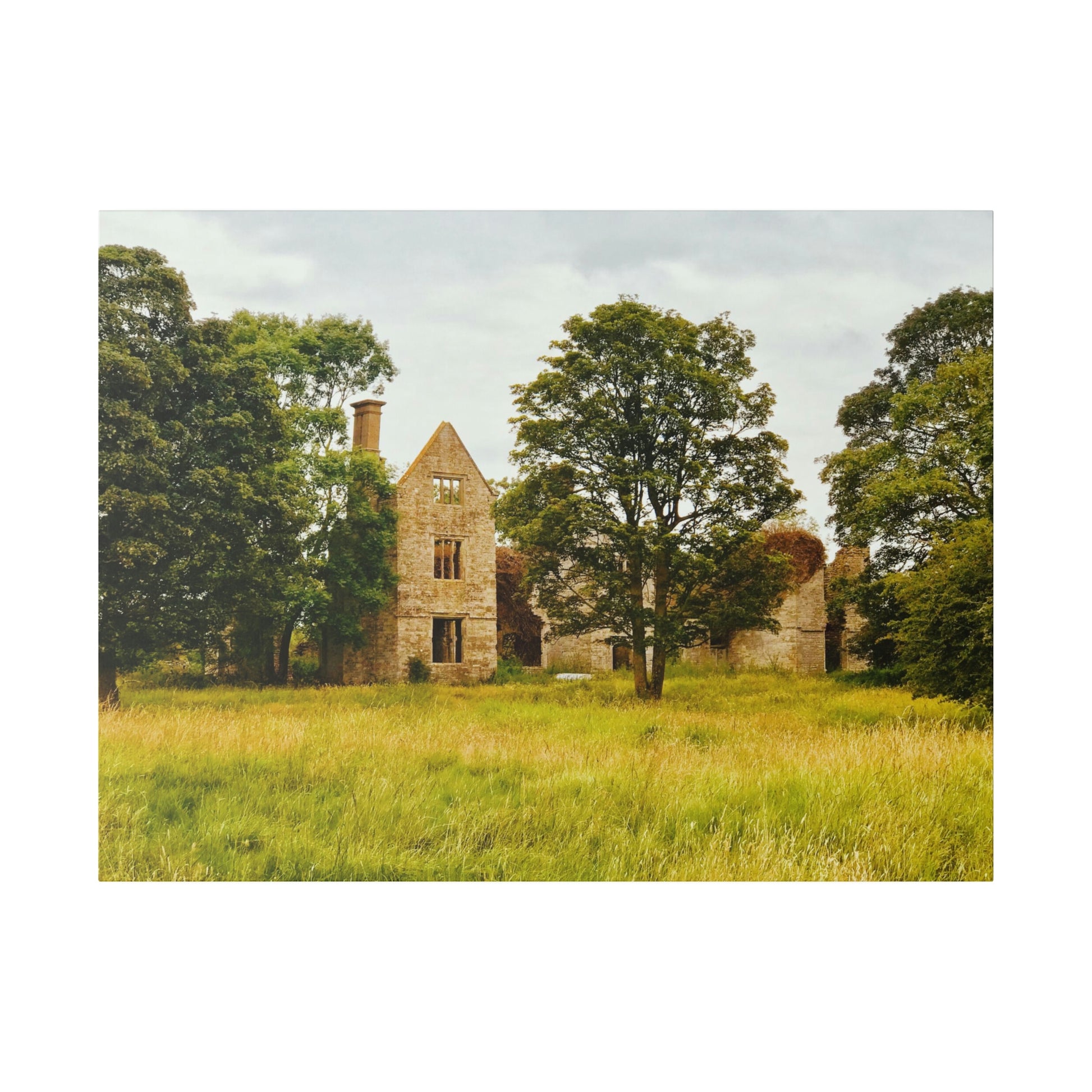 Manor House Ruins, Kidlington - Matthew Webb Photography